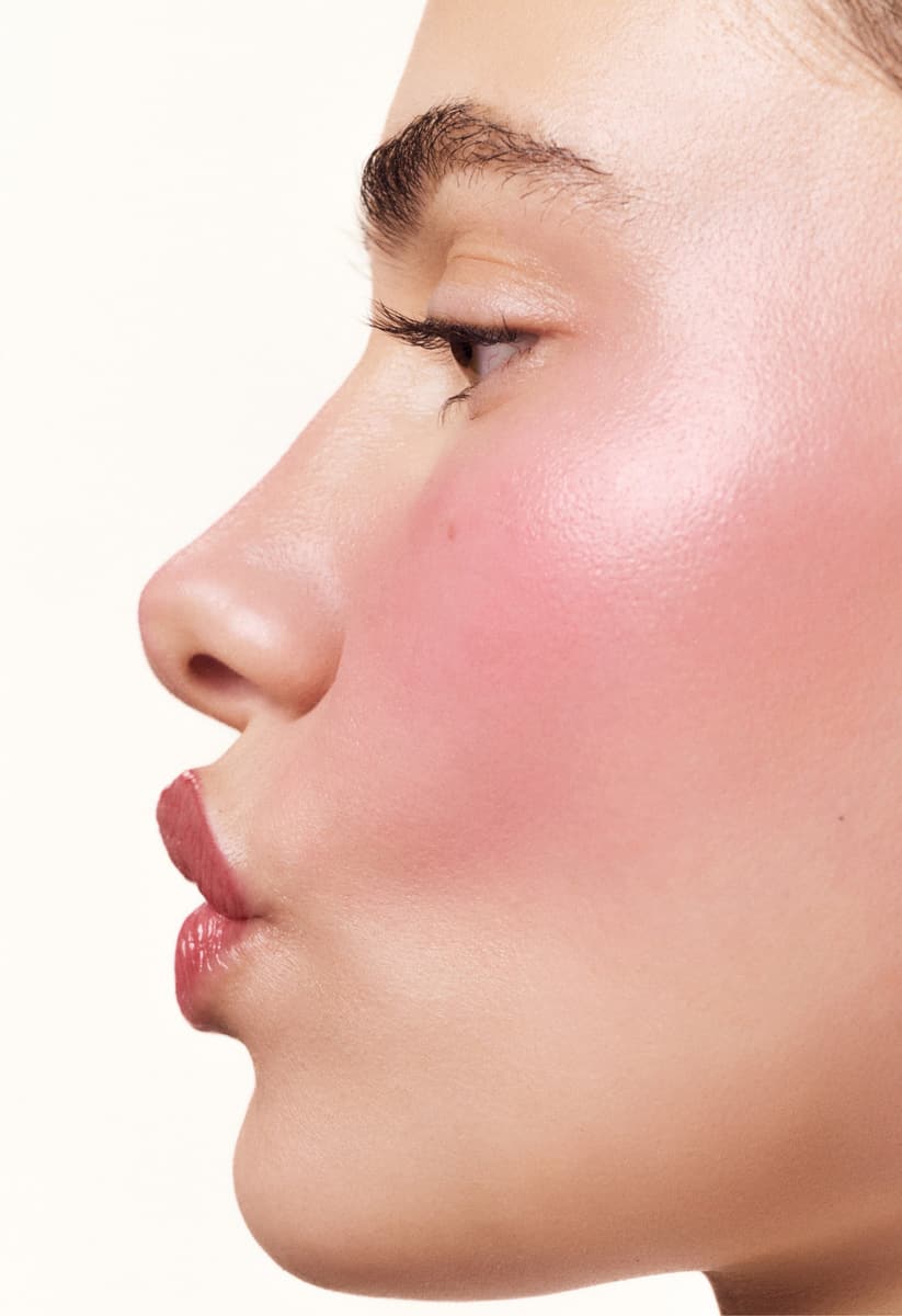 model wears pocket blush in plum